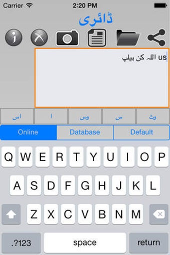 Image 0 for Urdu Diary