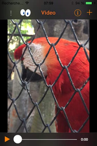Image 0 for Eye Video - Videos play o…