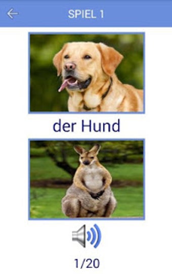 Image 0 for Learn German Vocabulary f…