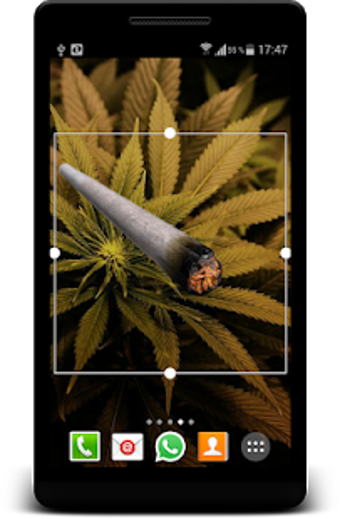 Imagen 3 para Marijuana Battery Joint W…