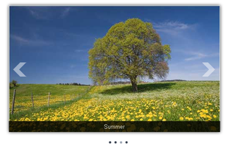 Image 0 for Virto Image Slider Web Pa…