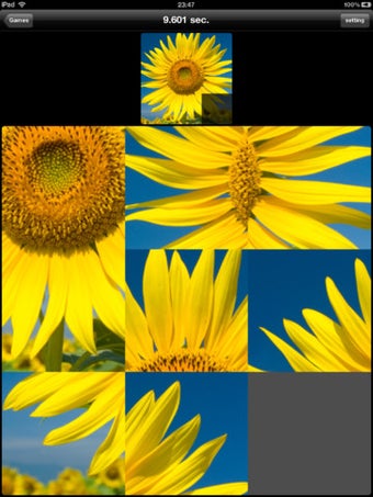 Imagen 6 para Sliding Pictures