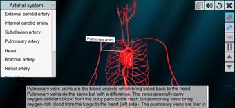 Image 3 for Vascular system
