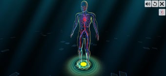 Image 0 for Vascular system