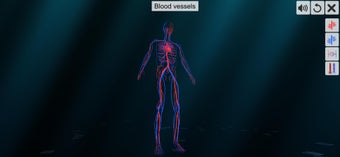 Image 1 for Vascular system