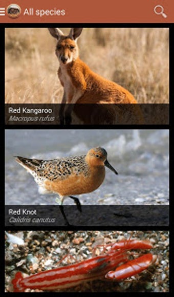 Image 2 for Field Guide South Austral…
