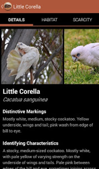 Image 3 for Field Guide South Austral…