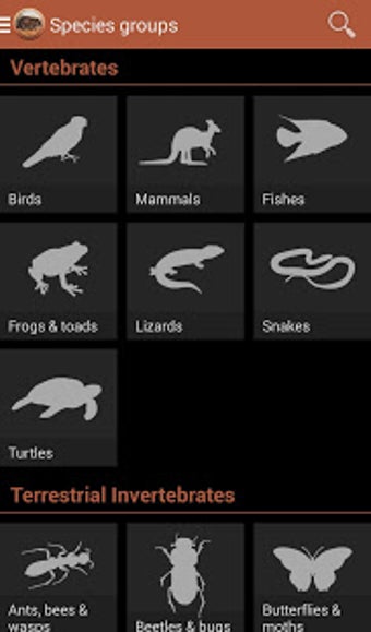 Image 0 for Field Guide South Austral…