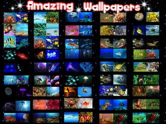 Image 2 for Ocean Park