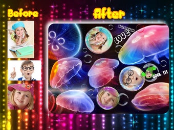 Image 3 for Ocean Park