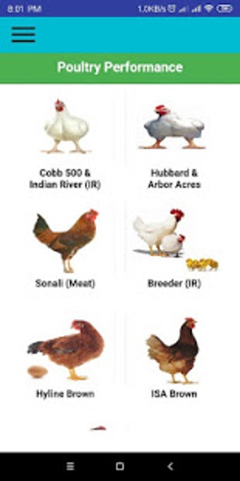 Image 2 for Poultry Performance