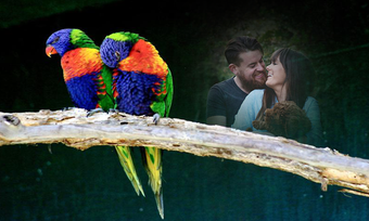 Image 2 for Love Birds Photo Frames