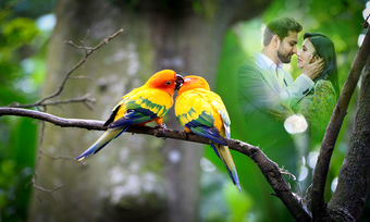 Image 3 for Love Birds Photo Frames