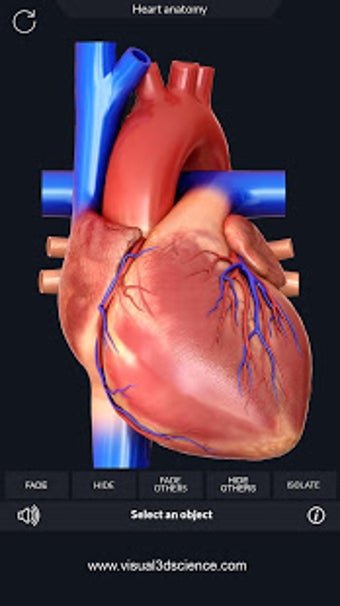 Imagen 2 para Heart Anatomy Pro.