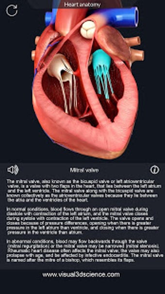 Imagen 1 para Heart Anatomy Pro.