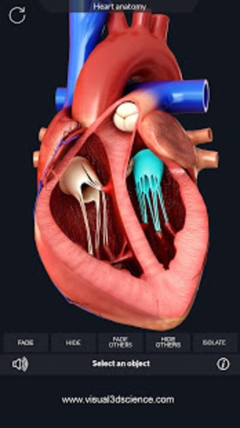 Imagen 2 para Heart Anatomy Pro.