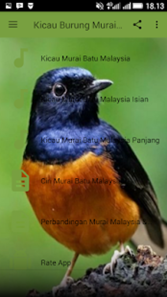 Imagen 0 para Kicau Burung Murai Batu M…