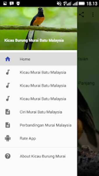 Imagen 2 para Kicau Burung Murai Batu M…