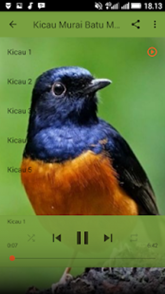 Imagen 1 para Kicau Burung Murai Batu M…