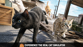 Imagen 0 para Cute Cat Pet Adventure Ga…