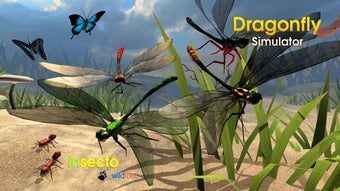 Image 0 for Dragonfly Simulator