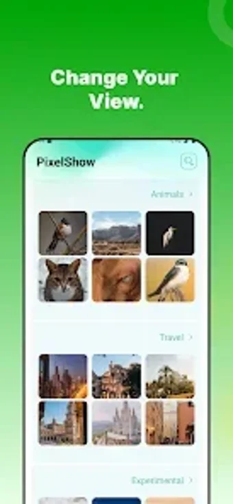 Image 0 for PixelShow