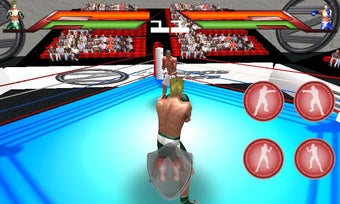 Imagen 1 para Virtual Boxing 3D Game Fi…