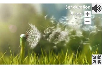 Image 0 for Dandelion (Breathing Game…