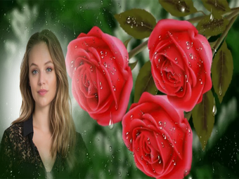 Imagen 2 para Rose Photo Frames