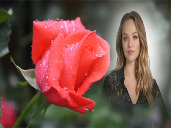 Image 3 for Rose Photo Frames