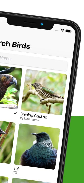 Image 0 for Bird Nerd NZ