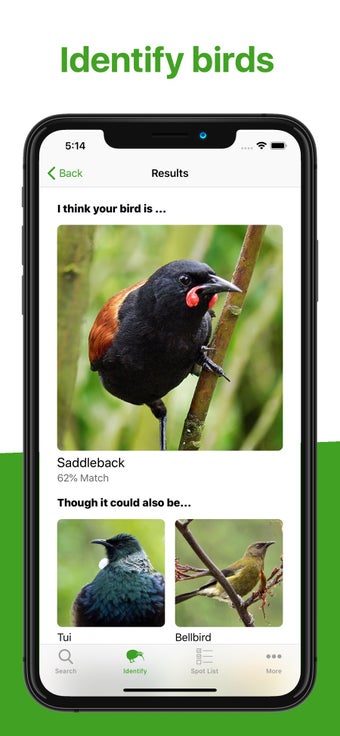 Image 2 for Bird Nerd NZ