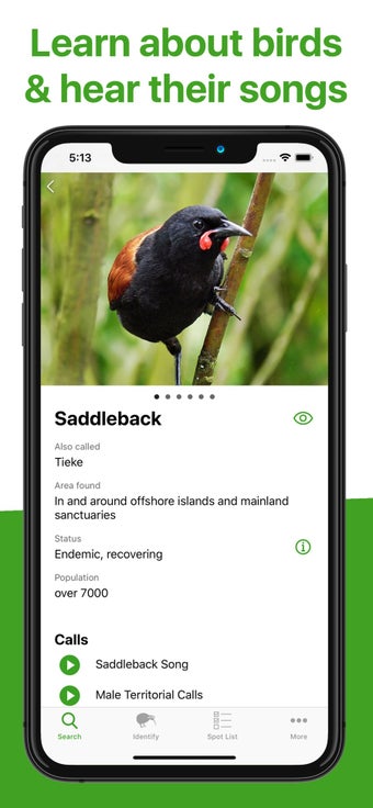 Image 3 for Bird Nerd NZ