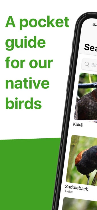 Image 1 for Bird Nerd NZ