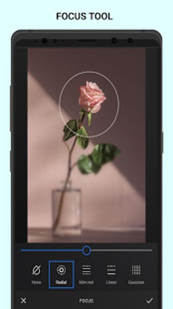 Imagen 1 para Analog Pink - Palette Pin…
