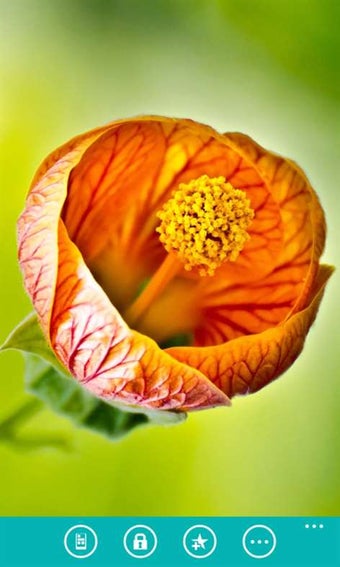 Image 0 for Nature Wallpapers HD Free…