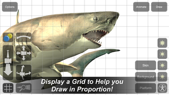 Image 2 for Shark Mannequin