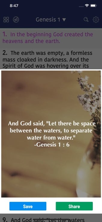 Image 0 for New Living Translation Bi…