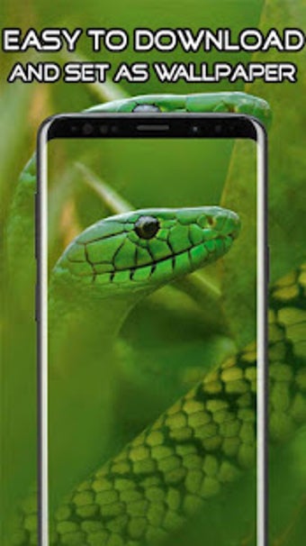 Image 2 for Snake Wallpaper HD 4K