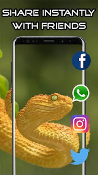 Image 1 for Snake Wallpaper HD 4K