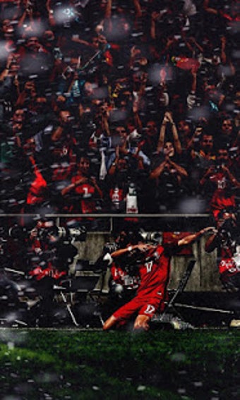 Image 3 for Andre Silva Wallpapers
