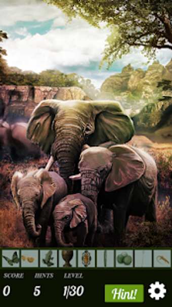Image 0 for Hidden Object - African A…