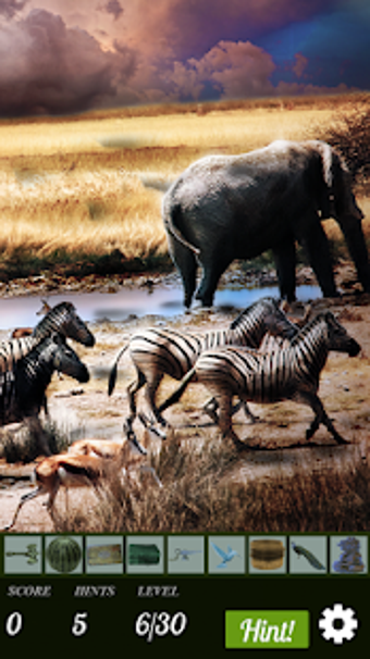 Image 1 for Hidden Object - African A…