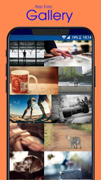 Imagen 1 para Gallery
