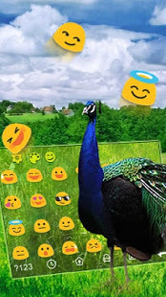 Imagen 2 para Peacock Feather Keyboard