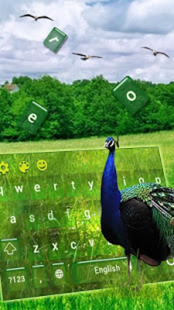 Image 1 for Peacock Feather Keyboard
