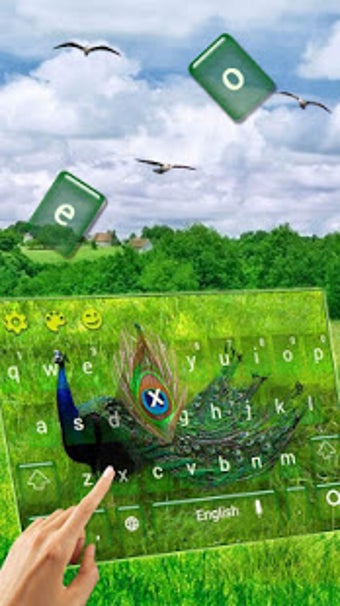 Image 0 for Peacock Feather Keyboard