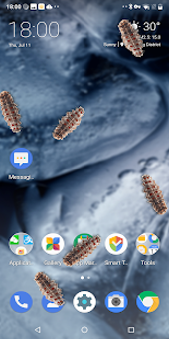 Imagen 2 para Fake bed bug prank on scr…