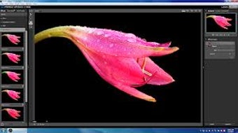 Imagen 0 para Perfect Effects Free