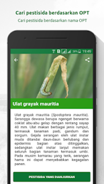 Imagen 2 para MyAgri